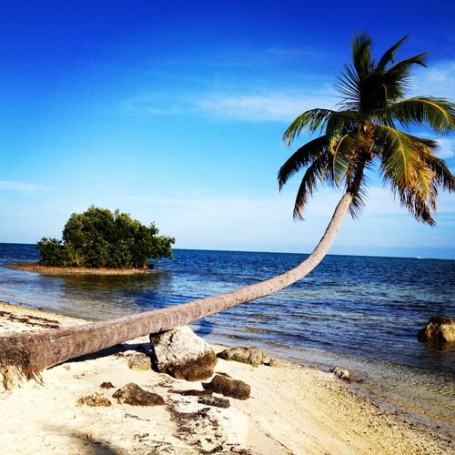 Florida - Miami 