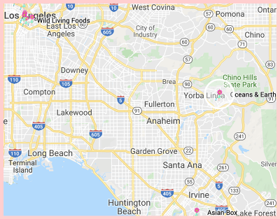 Ocean & Earth Google Map LA