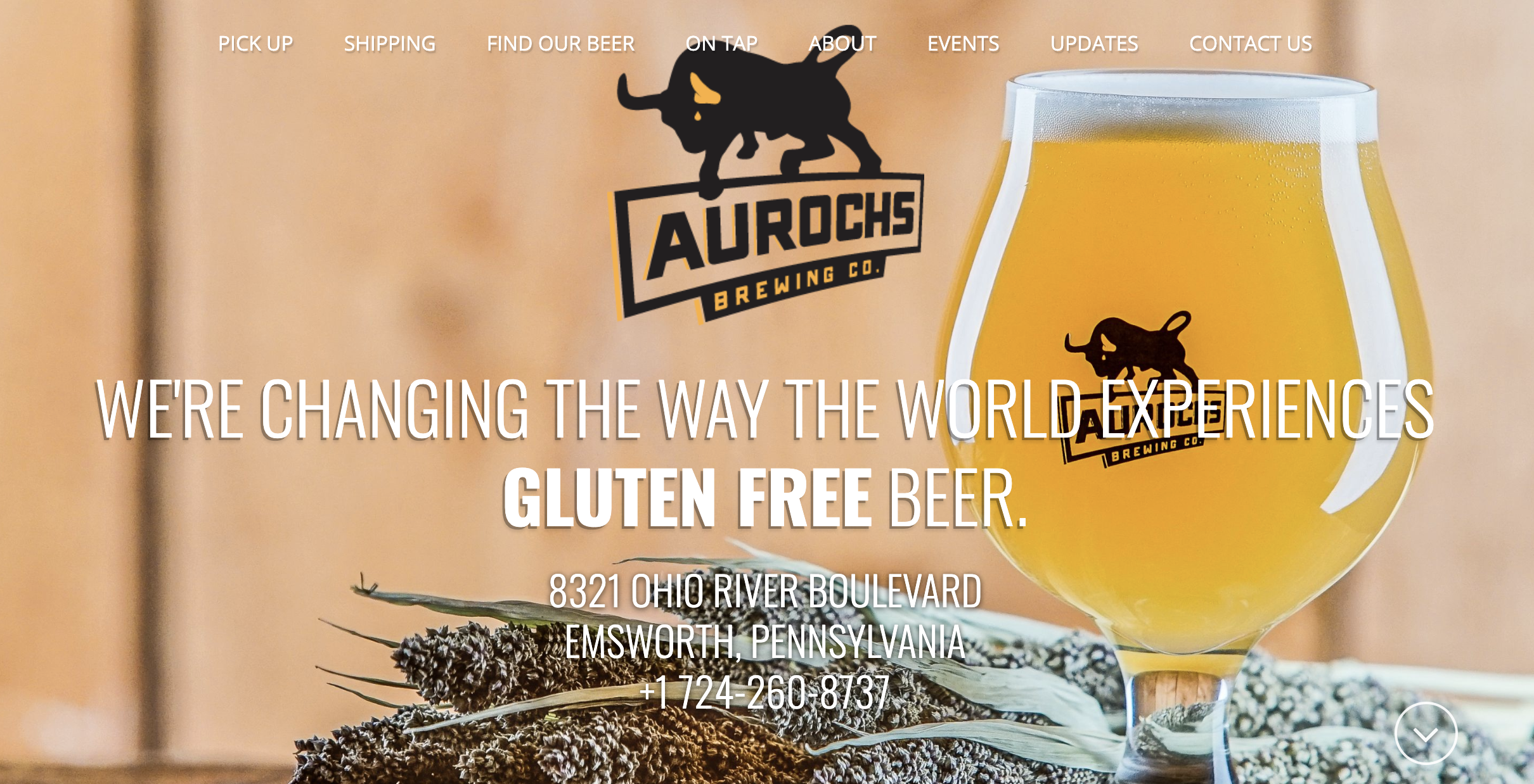 Gluten Free Beer